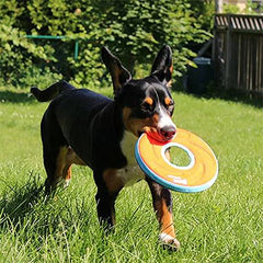 Chuckit! Zipflight en utilisation sur l'eau avec chien en train d'attraper, facilite rappels aquatiques