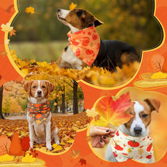 Chunful bandana porté par chien en promenade apportant style festif