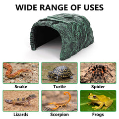 Cididu comparaison taille montrant dimensions adaptées aux petits reptiles