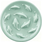 Cilkus gamelle face avant verte montrant design piscine de poissons attractif