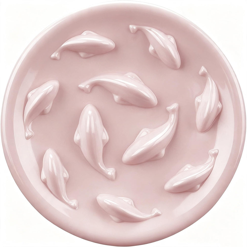 Cilkus gamelle vue de face bassin poisson, design ludique pour ralentir la prise alimentaire