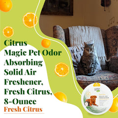 Citrus Magic placé près d'une litière pour neutraliser les odeurs de chats