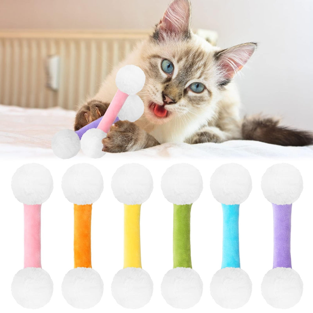 CiyvoLyeen vue avant du lot de 6 montrant le design et le packaging durable