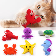 CiyvoLyeen paquet avant montrant les six peluches marines, attractif pour jeu