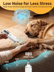 Ckin pet double LED éclairant le quick pour plus de sécurité