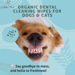 Clean Pet boîte ouverte avec lingette visible pour un accès rapide