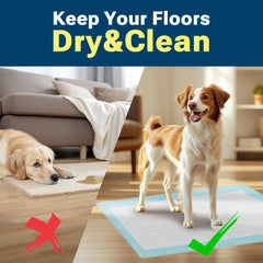 CLEAN SPACES coupe transversale des six couches montrant protection anti-fuite