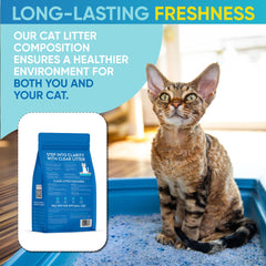 Clear Litter dans bac affichant faible traînage et propreté