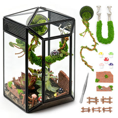 Clioran vue avant du terrarium en verre gothique, esthétique et sécurisée