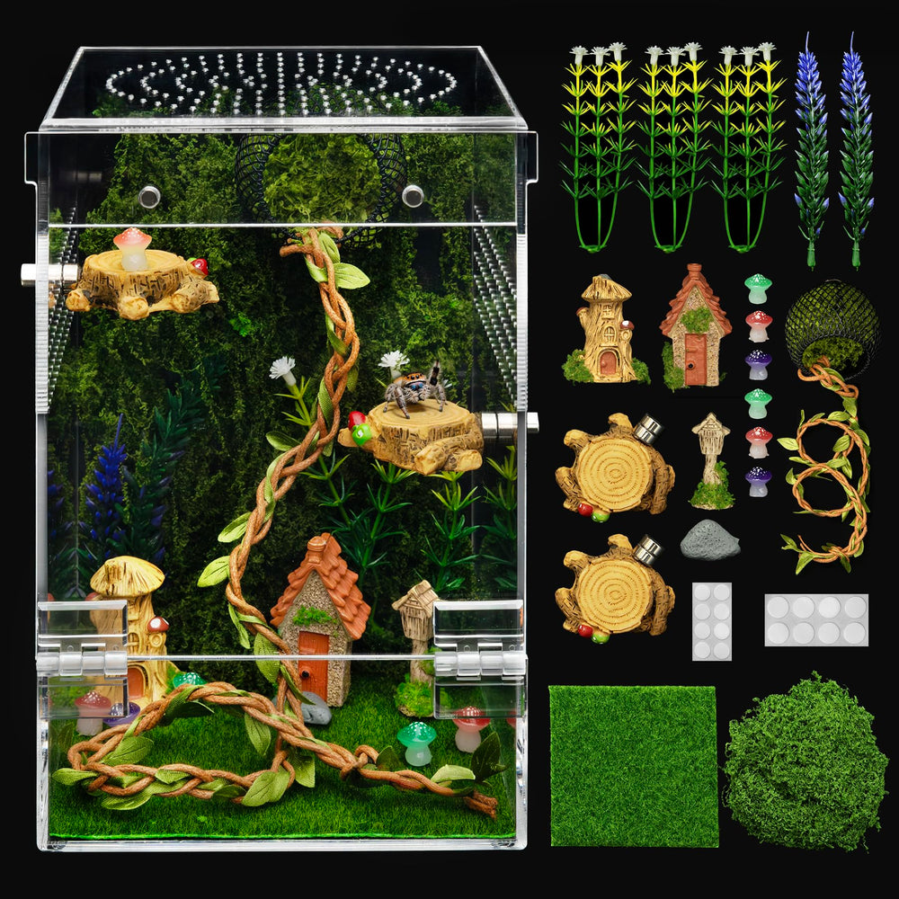 Clioran terrarium face avant offrant visibilité 360 degrés et observation facile