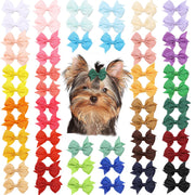 Clipband coffret de 60 nœuds pastel montrant la variété et l’organisation