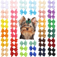 Clipband coffret de 60 nœuds pastel montrant la variété et l’organisation