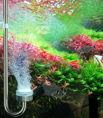 Clscea diffuseur installé dans aquarium sans rebord montre diffusion discrète