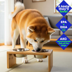 Club Hachiko étiquette lisible indiquant EPA, DHA et certification NASC