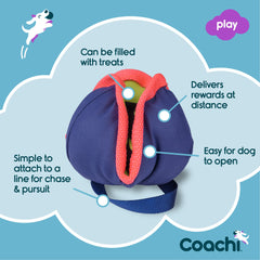 Coachi Chase & Treat remplissage de friandises pour motiver le chien à jouer