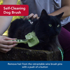 Coastal brosse en action sur chat réduisant les poils et soulageant le pelage