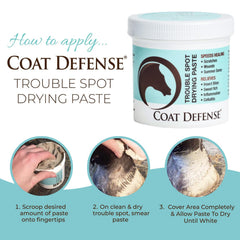 COAT DEFENSE zone protégée après application réduisant humidité