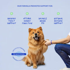 Coco and Luna détail pompe distributeur durable pour administration sans casse