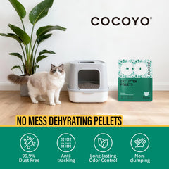 COCOYO litière installée dans bac, facilite entretien quotidien