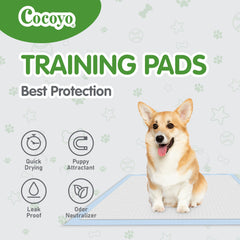 COCOYO tapis placé dans une caisse, maintien propre et hygiénique