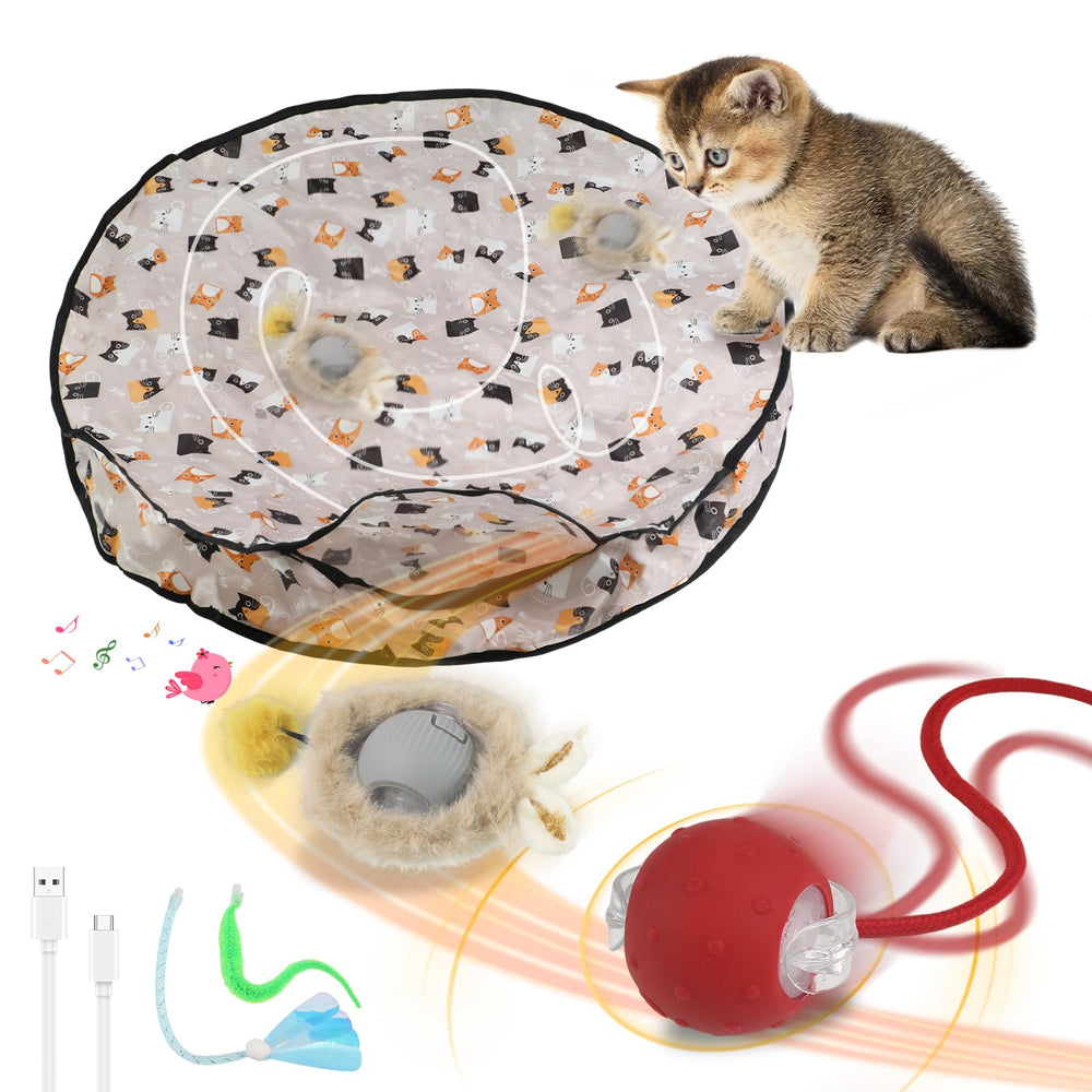 Coficoee ensemble complet packaging montrant toutes pièces et bénéfice stimulation