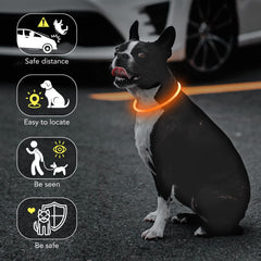 Colaseeme collier en usage lors d'une balade nocturne pour repérage