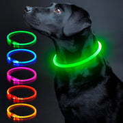 Colaseeme collier lumineux avant vert montrant visibilité accrue
