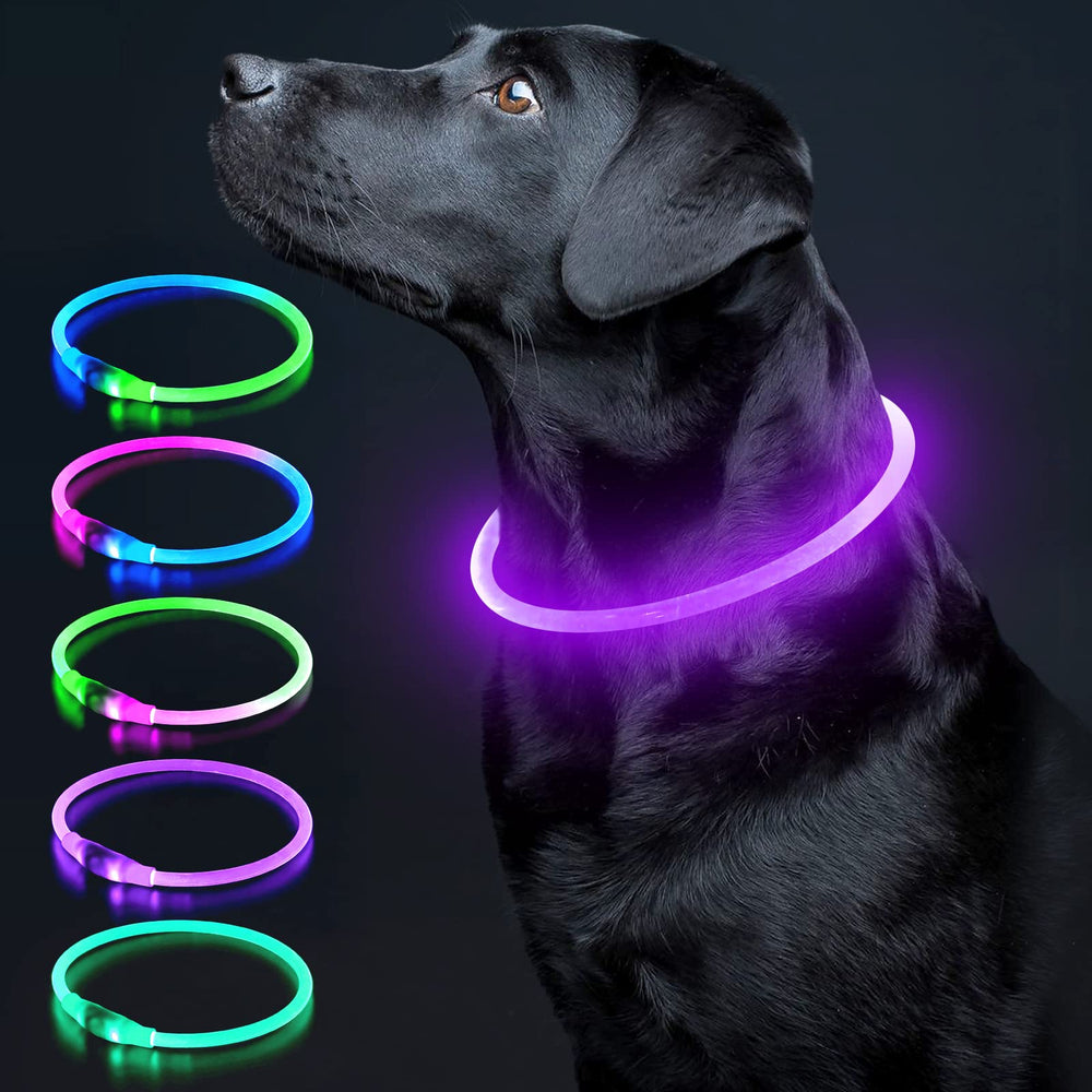 Colaseeme collier lumineux violet vue avant pour meilleure visibilité