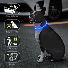 Colaseeme collier en usage lors d'une promenade nocturne pour tranquillité