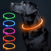 Colaseeme collier lumineux face avant visible de nuit pour sécurité