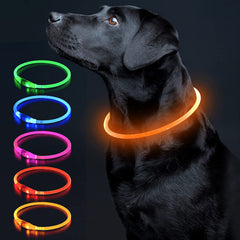 Colaseeme collier lumineux face avant visible de nuit pour sécurité