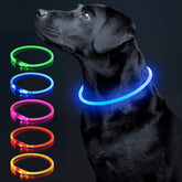 Colaseeme collier lumineux front packaging montrant sécurité nocturne