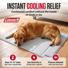 Coleman en usage avec chien allongé offrant refroidissement immédiat