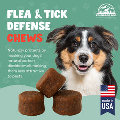 Colorado Dog gros plan sur texture des croquettes bénéfice mastication facile