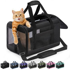 Conlun vue de face du porte-chat noir montrant design et accès facile