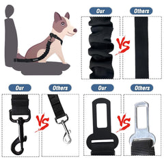 COOYOO ceinture installée en voiture sur chien, sécurité pendant trajet