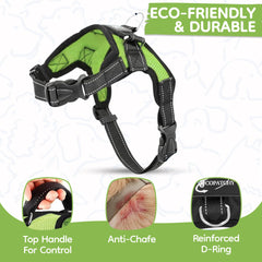 Copatchy chien en balade utilisant le harnais pour promenades sûres