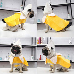 Coppthinktu chien portant costume banane en parc, photogénique