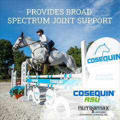 Cosequin ASU cuillère mesure montrant dosage précis et simple