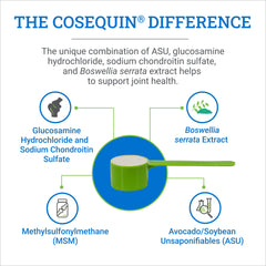 Gros plan de la texture de la poudre Cosequin ASU soulignant sa mélangeabilité facile