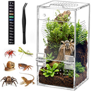 CourtyardAid terrarium face avant montrant transparence et accès facile
