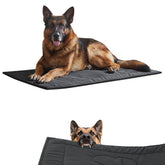 Couzssyhi tapis face avant montrant solidité et protection contre l'usure