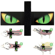 CoyoteVest Hawk Eyes face avant pour dissuader rapaces et augmenter visibilité