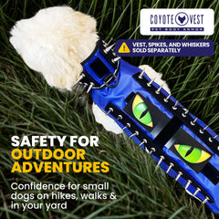 CoyoteVest Hawk Eyes fixé sur gilet en promenade, protection légère visible