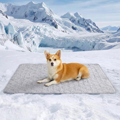 Cozy Bliss tapis plein devant montrant protection et fraîcheur immédiate