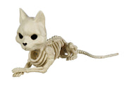 Crazy Bonez chat squelette de face montrant silhouette et charme décoratif