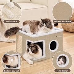 Crispedia plateforme haute avec chat se reposant offrant point d’observation sûr