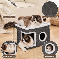Crispedia plate-forme supérieure avec chat qui se détend, favorise observation