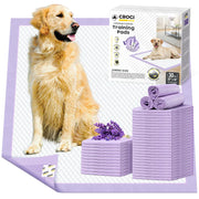 Croci emballage frontal montrant 30 unités et design pratique