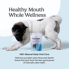 Crumps’ Naturals comparaison taille 7" montrant proportion pour chien